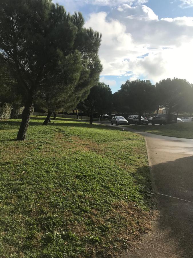 Appartement Entier T2 Avec Piscine Paradis Entierement Meuble Proche Metro Toulouse Exteriör bild